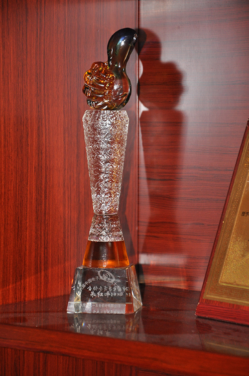 中國電子商務(wù)十大牛商獎(jiǎng)杯